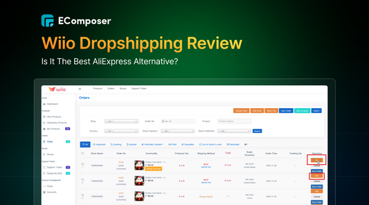 Wiio Dropshipping review