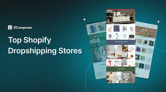Top Shopify dropshipping stores